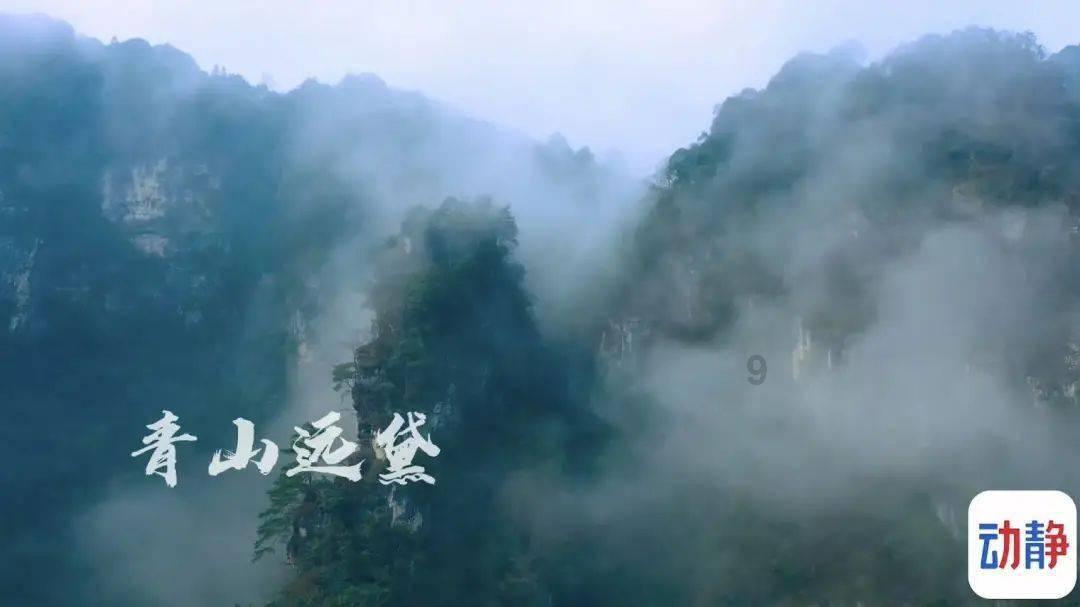 专业知识星球平台-更全面,更专业,更有深度!